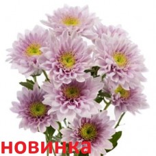 Белисия