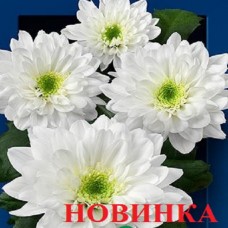 Зидан