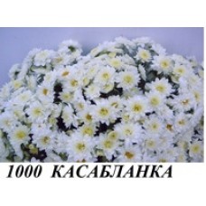 Касабланка