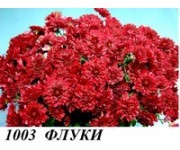 Флуки